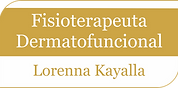 Icone Fisioterapia