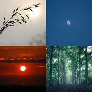 phototitles for pvevergreencom copy-12_edited.jpg