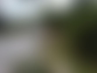 LIMPIAN E ILUMINAN ACCESO AL IMSS EN TUXPAN.