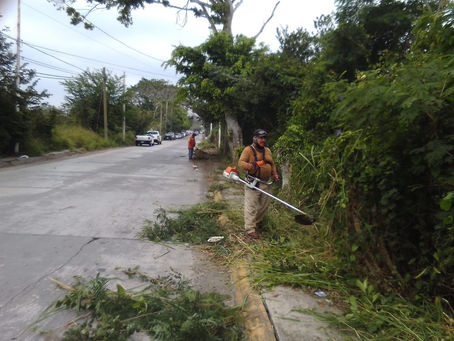 LIMPIAN E ILUMINAN ACCESO AL IMSS EN TUXPAN.