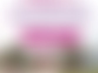 DIF INVITA A LA REHABILITACIÓN DEL PARQUE PICOATOCHILT DE TUXPAN