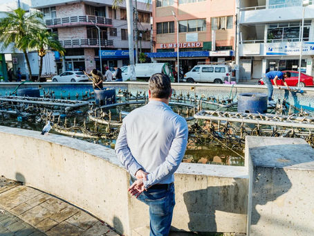 ATENDIENDO LAS INDICACIONES DEL PRESIDENTE MUNICIPAL DANIEL CORTINA, AVANZAN LAS ACCIONES DE EMBELLECIMIENTO EN LA CIUDAD.
