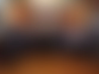 PRESIDENTE RECIBE EN PALACIO NACIONAL A LEGISLADORES DE ESTADOS UNIDOS; COINCIDEN EN MANTENER POLÍTICA DE COOPERACIÓN.