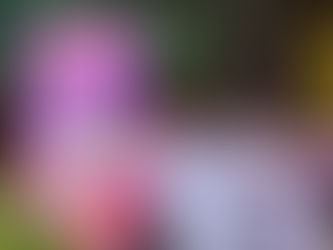 TUXPAN PRESENTA CARTELERA ARTÍSTICA DEL CARNAVAL 2026 CON TALENTO DE TALLA INTERNACIONAL.