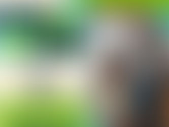 EL PRÓXIMO JUEVES 21 DE AGOSTO SE REALIZARÁ EN TUXPAN LA “FERIA NACIONAL DEL EMPLEO PARA LAS JUVENTUDES 2025”.