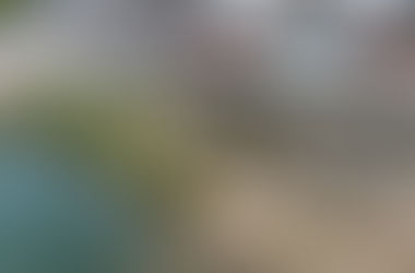 GOBIERNO MUNICIPAL REALIZA JORNADA DE LIMPIEZA A ORILLAS DEL RÍO TUXPAN.