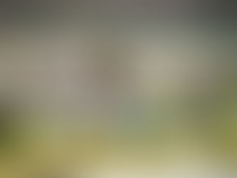 LA POLÍTICA AGROSUSTENTABLE HACE REALIDAD EL SUEÑO REVOLUCIONARIO DE LOS CAMPESINOS.