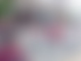 EN EL MARCO DEL LUNES CÍVICO SE HIZO ENTREGA DE ESCRITURAS A LA ESCUELA PRIMARIA JOSÉ L. GARIZURIETA.