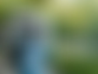 TRABAJO CONSTANTE EN LA REACTIVACIÓN DEL SERVICIO DE LIMPIA PÚBLICA EN TUXPAN.