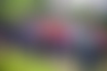 RECORRE ALCALDE DE TUXPAN CIRCUITO ANTORCHISTA 