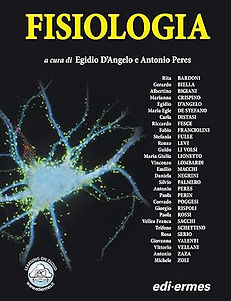 Fisiologia.jpg