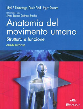 Anatomia del movimento umano