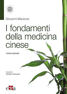 I fondamenti della medicina cinese.jpg
