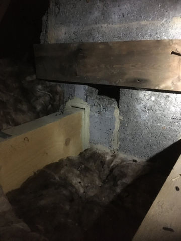 Rat Control