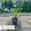 Thumbnail: Big Blue Liriope - Liriope muscari 'Big Blue'