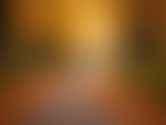 Eye-level view of a winding path through a forest in autumn