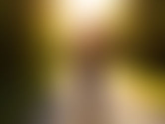 Woman walking forward on a path with sunlight ahead, symbolizing release and moving on from those who chose sides.