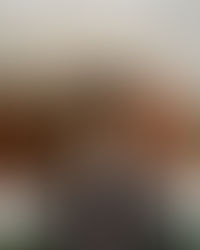 The Tap In: DShootupdascene