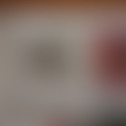 Portrait d'Adeline Bertin biographe dans un journal local