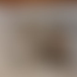 Le Courrier de l'Ouest met une nouvelle fois à l'honneur mon activité de rédaction de biographies