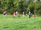 cours-collectifs-vendee-chien-au-pied.jp