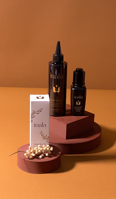 Screenshot 2023-01-13 at 12.26.56 PM.png