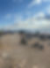 IMG_0646.jpeg