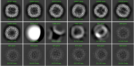 2D classifications.png