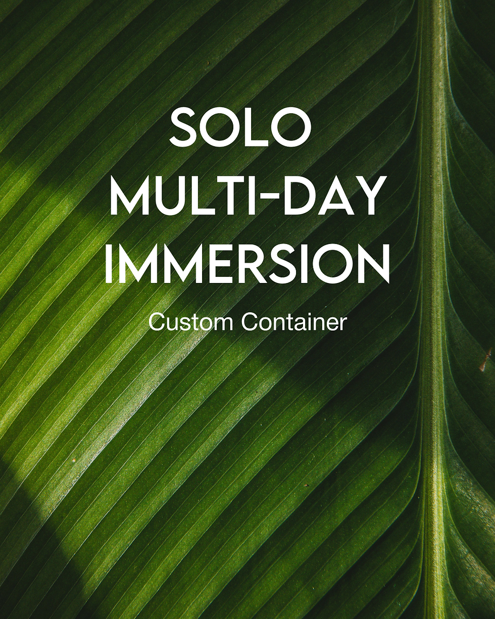 Multi Day Solo Tailored Curated Experience (1).png