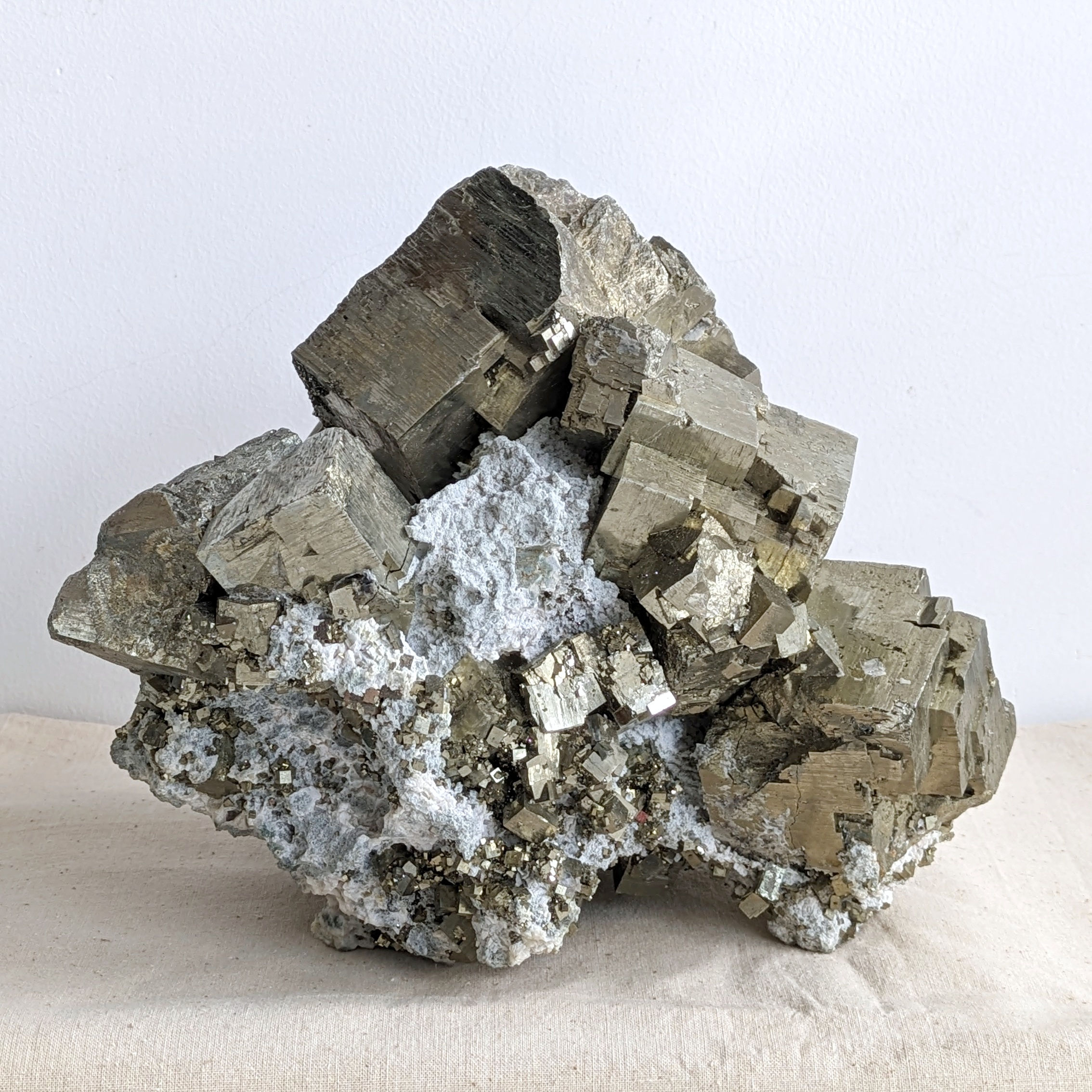 Collector Specimen - Pyrite 5.0