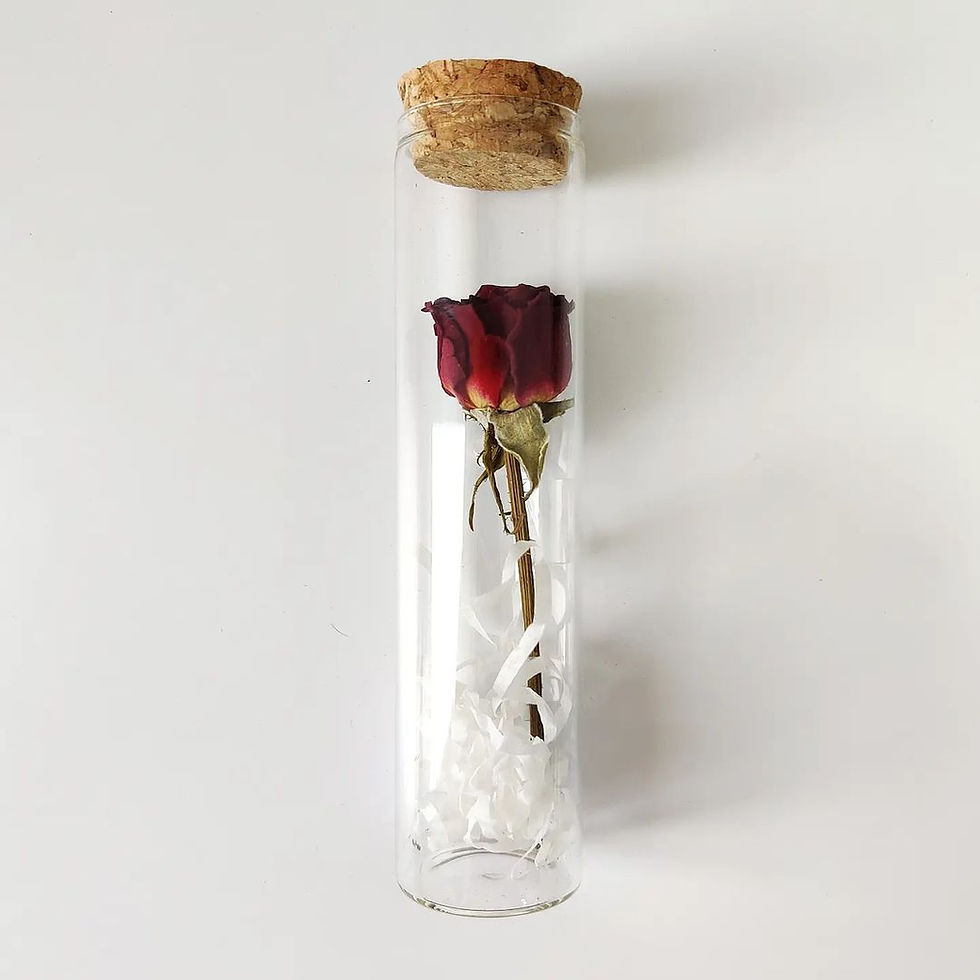 Thumbnail: Everlasting Flower