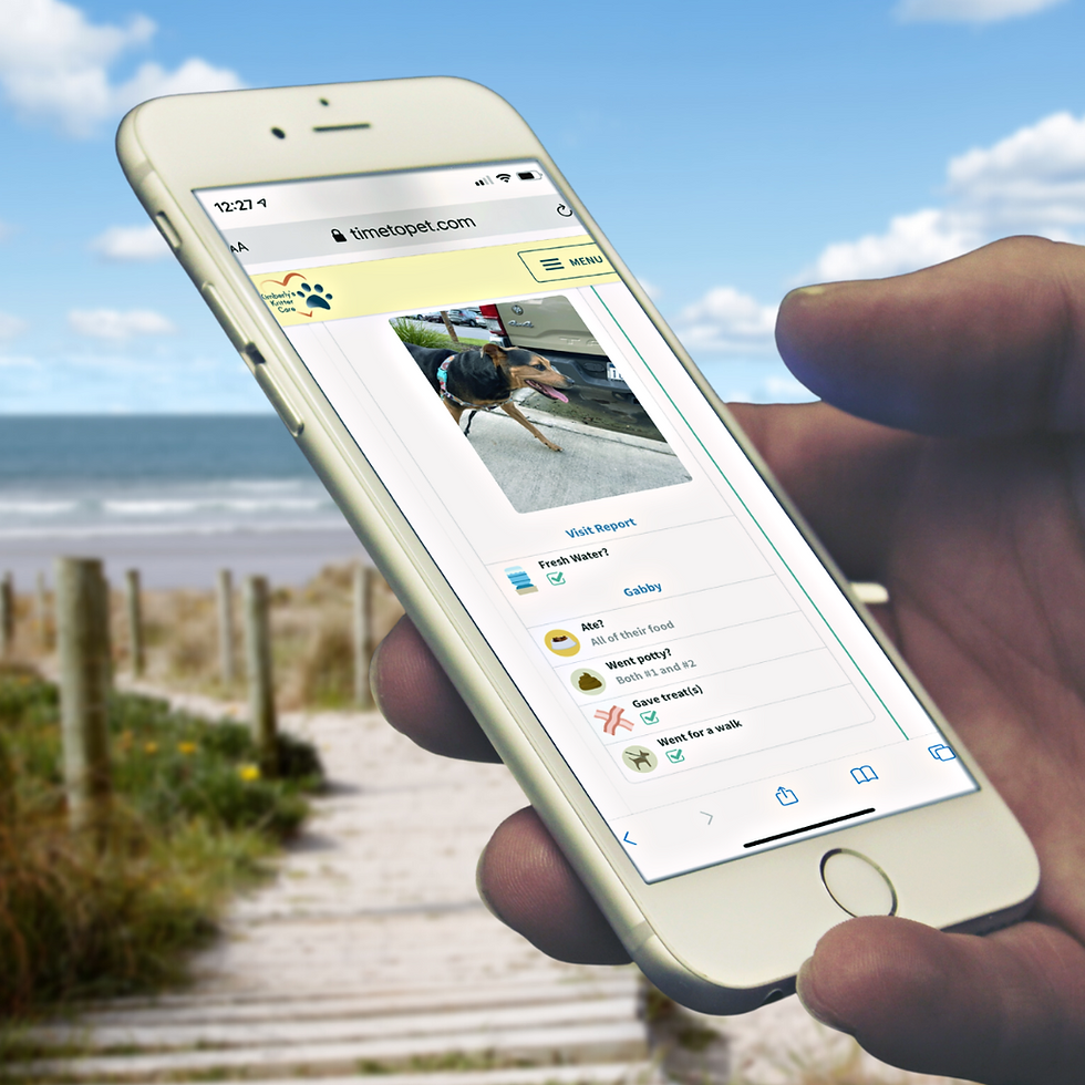 VISIT REPORTS WHEN YOU'RE AWAY