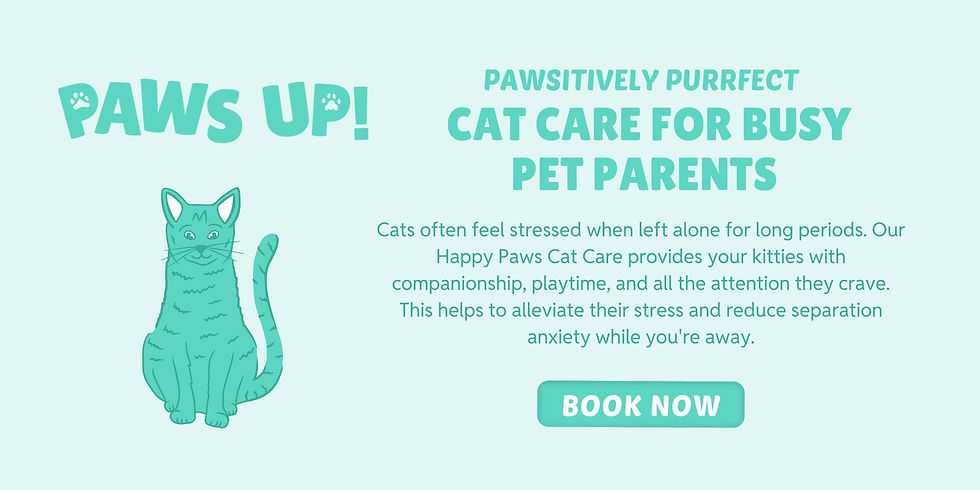Book cat care with Paws Up! in Charleston SC