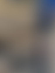 Paws Up! dog walker walking a dog in Charleston, SC