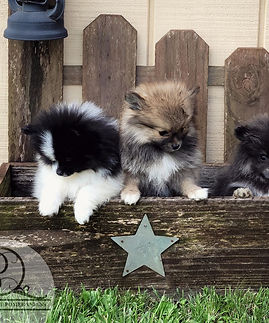 279338197_541400440836458_3546554723144240976_n (1).jpg