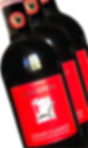 "CONCRETO" DOCG CHIANTI CLASSICO