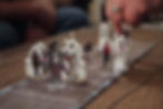 67513196_708098976307548_786213533267263