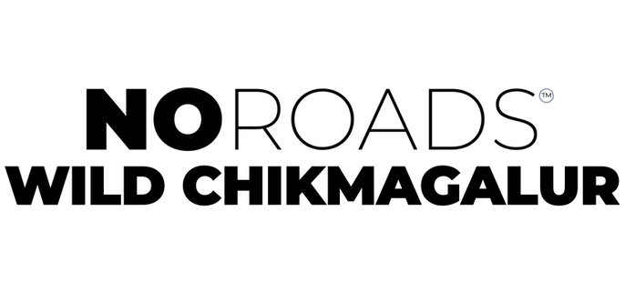 NOROADS Logos.010.png