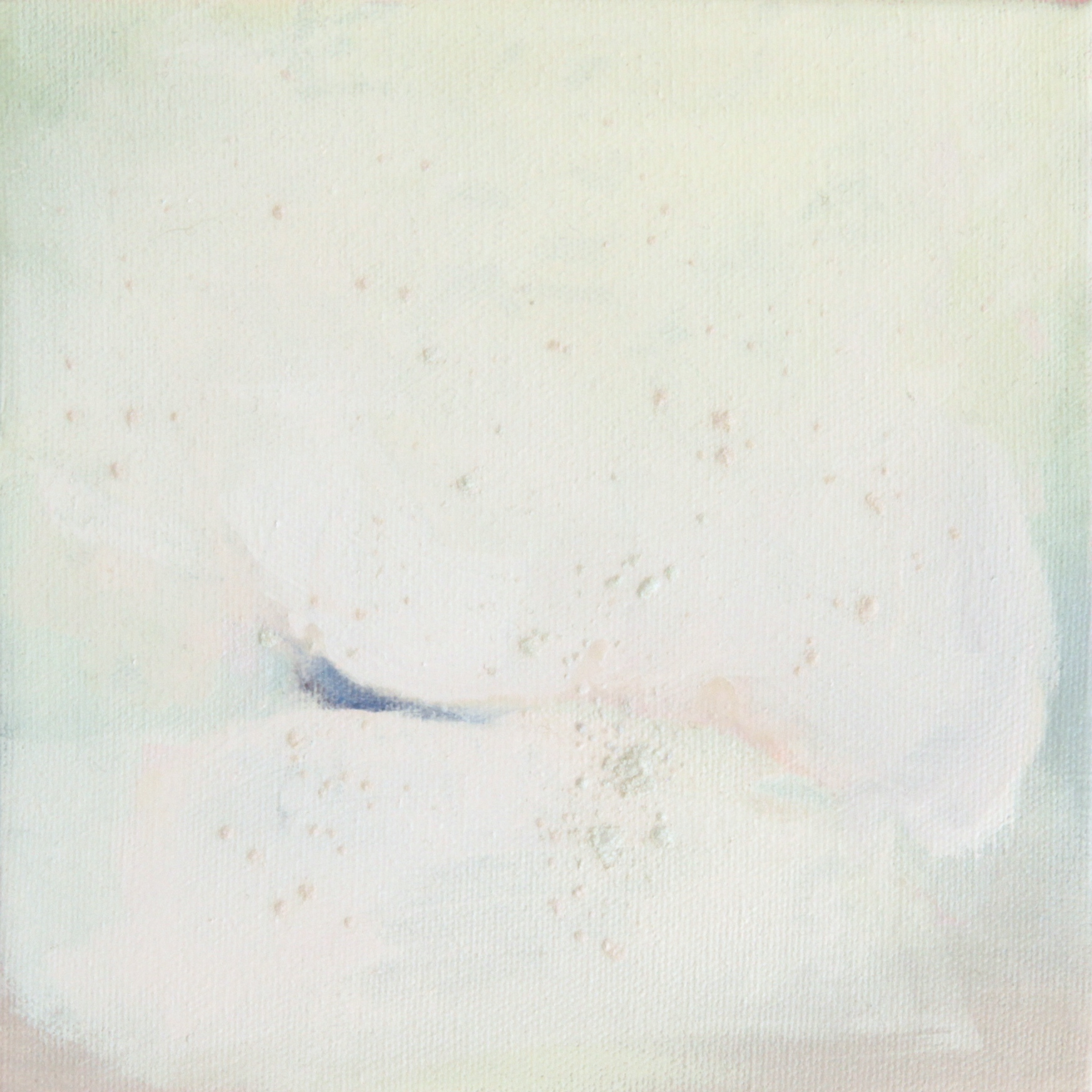 NACRE 2, 2017