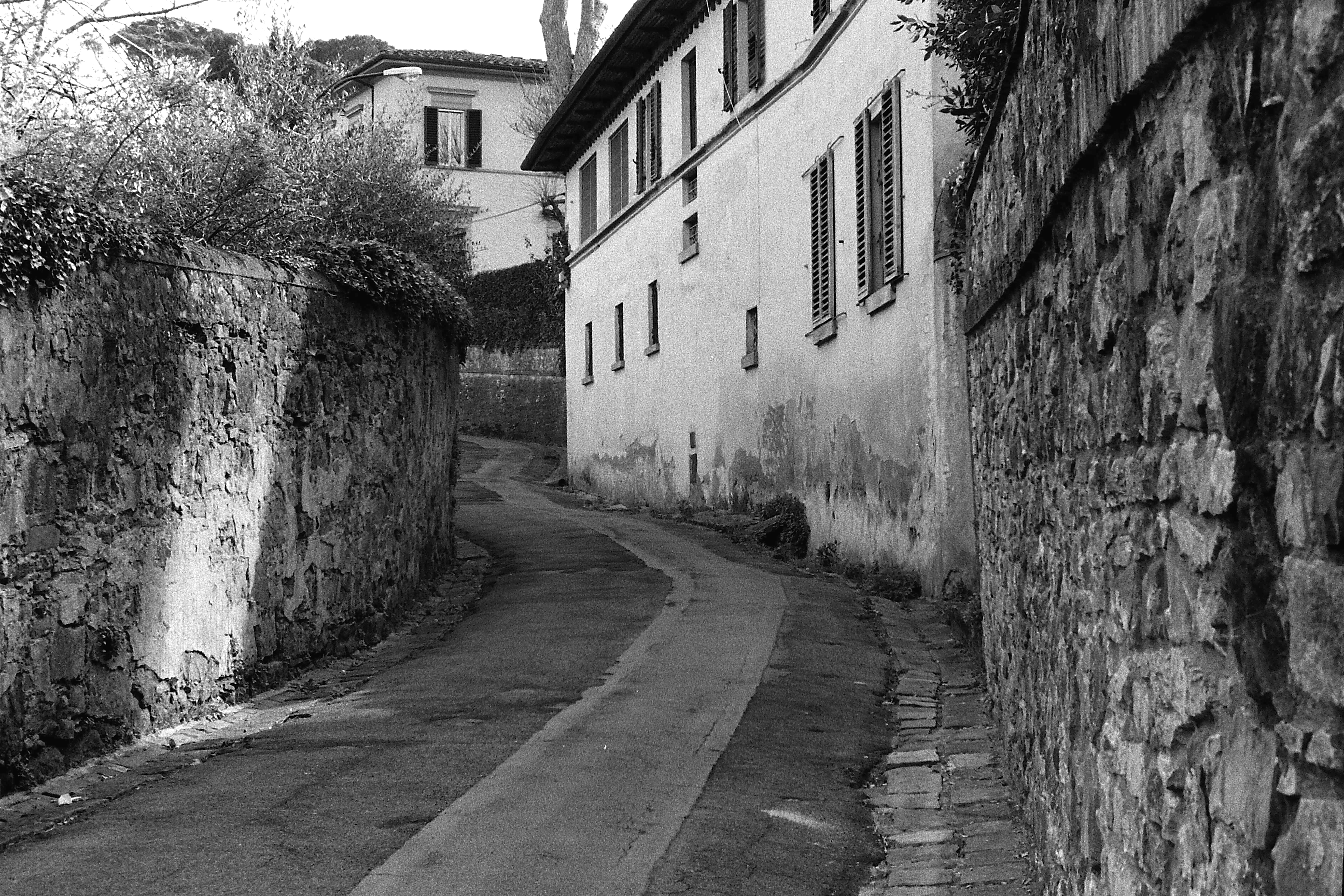 Back Street, 2017