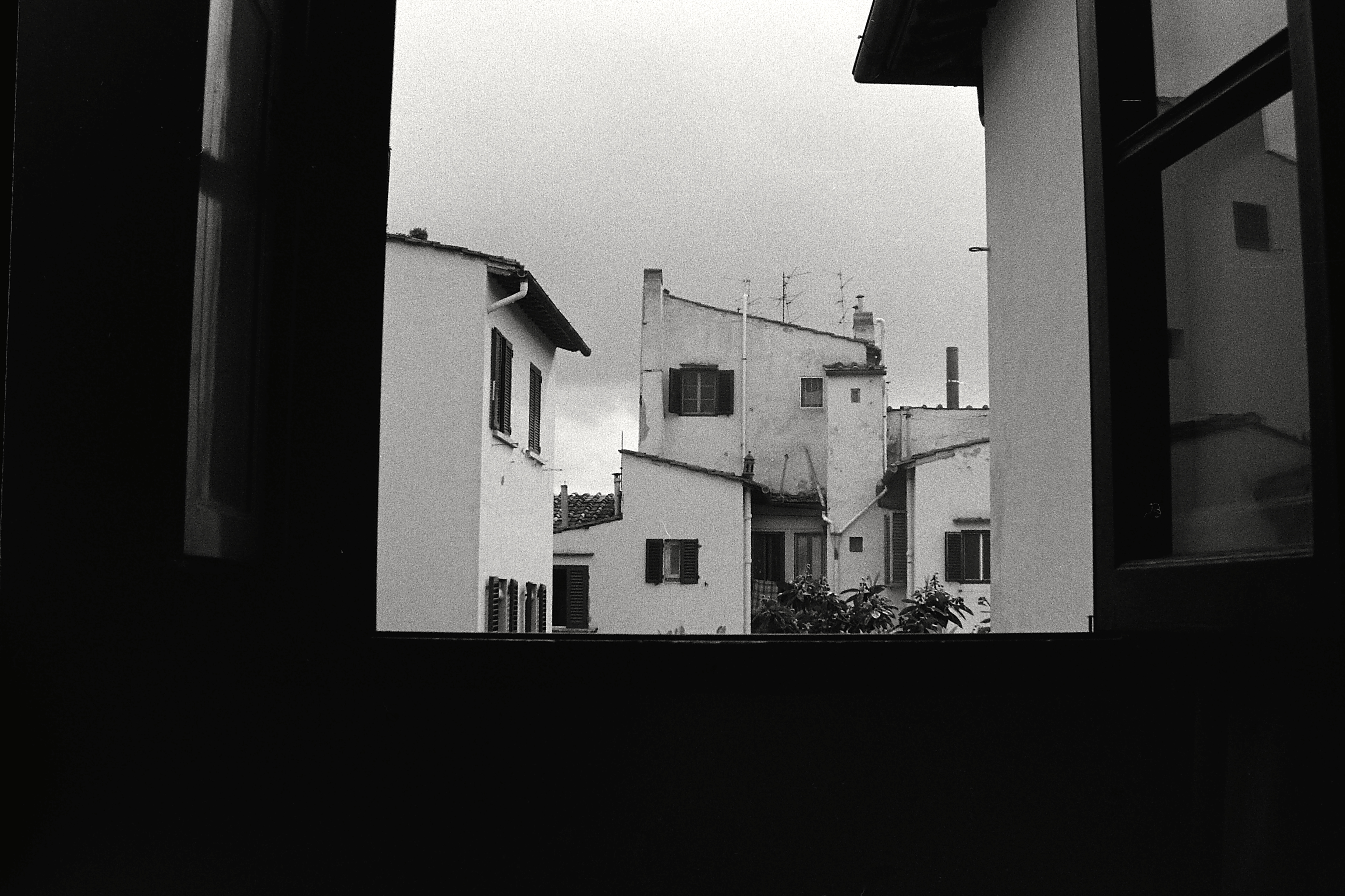 View from Window