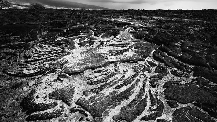Lava field near Maiapua, Big Island, Hawai, ostrov, island, cestování, travel, nature, příroda, obrázek, fotka, foto, picture, photo, photography, 
