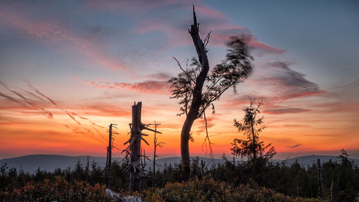 Jizerské hory, CZ, Czech republic, Moravia, nature, příroda, photo, photography, foto, fotografie, fotka, sun, sunrise, svítání, stromy, kmeny, trees, tree, forest, lesy, clouds, nature, příroda, mraky, červánky. 