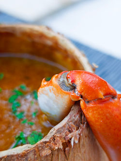 PXL_20251012_140747998.RAW-02.ORIGINAL