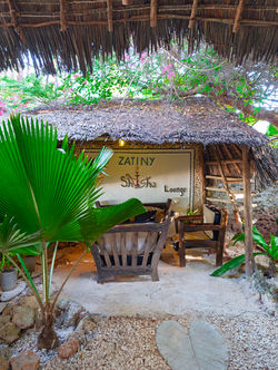 PXL_20251012_132549613.RAW-02.ORIGINAL