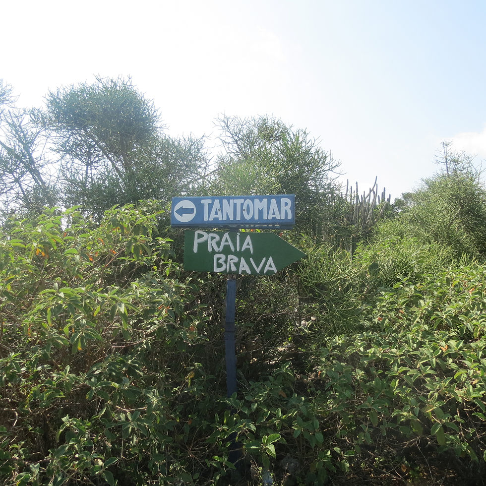Placa Indicativa