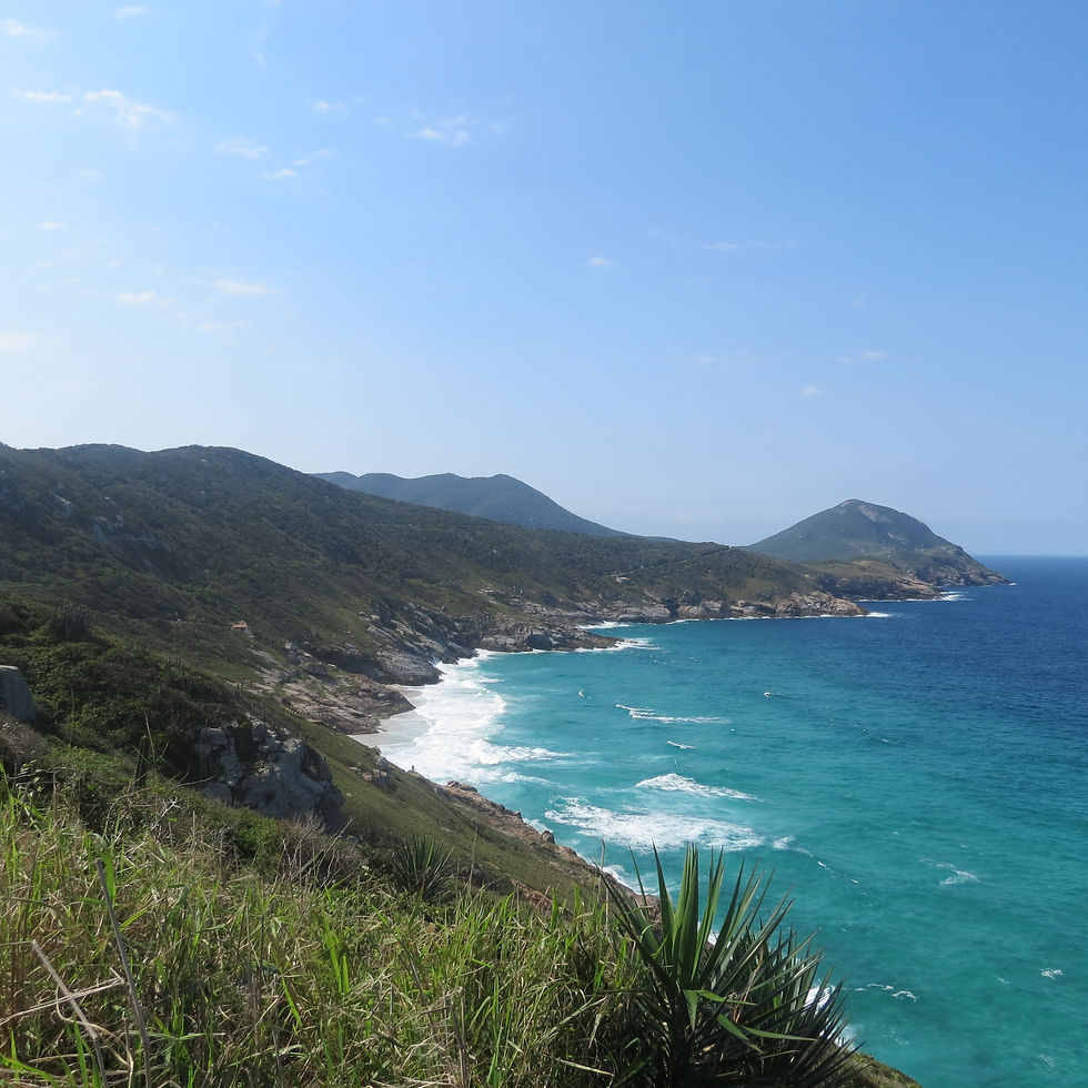 Vista para Praia Brava do mirante