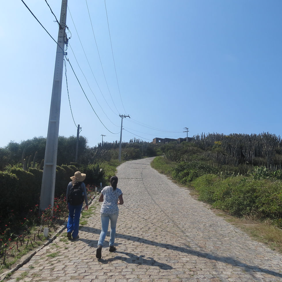 Caminho da trilha