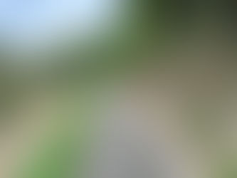 山 12筆成約・引き渡ししました