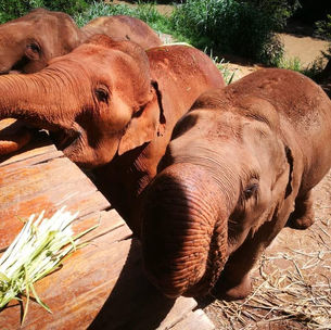 Glo y Daughters colaboran para prevenir la trata sexual y garantizar educación